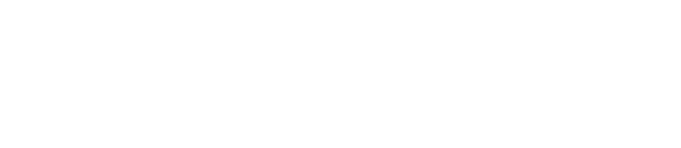Tempteam Finnish Logo White